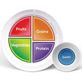 Bariatric Portion Control Plate